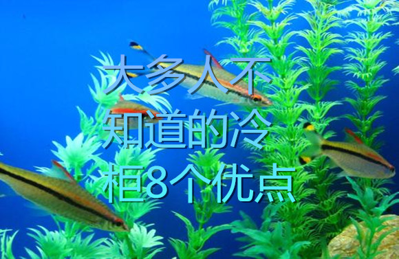 大多人不知道的冷柜8個優(yōu)點(diǎn)