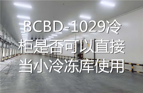 BCBD-1029冷柜是否可以直接當(dāng)小冷凍庫使用